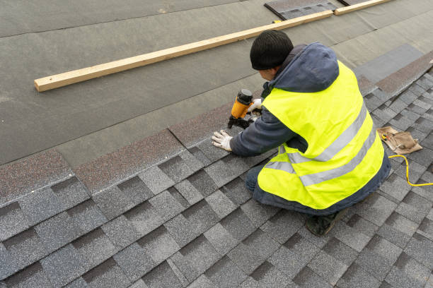 Professional Roofing Contractor in Lake Cassidy, WA
