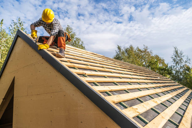Best Gutter Installation and Roofing  in Lake Cassidy, WA